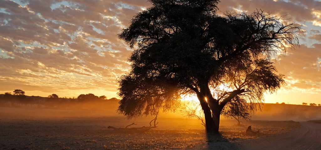 Emerging Trends in African Critical Minerals: Spotlight on ESG Importance