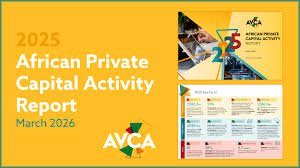 Africa’s Private Capital Surges 8% Amid Global Economic Slowdown