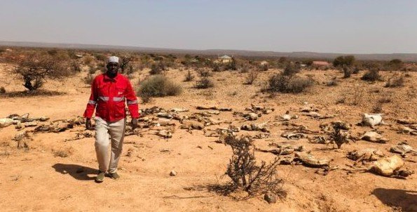 East Africa Faces Growing Hunger Crisis: 45 Million in Need of Food Relief