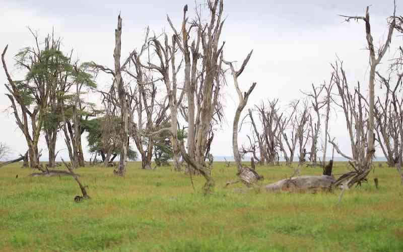 Empowering Climate and Nature Ventures in Africa