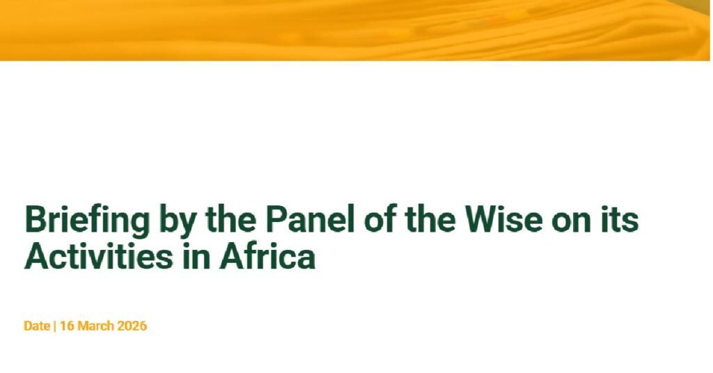 Insights from the Panel of the Wise on African Initiatives