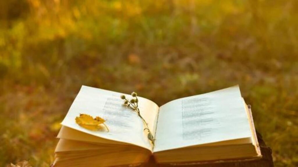 Reimagining Folk Poetry in Contemporary Art