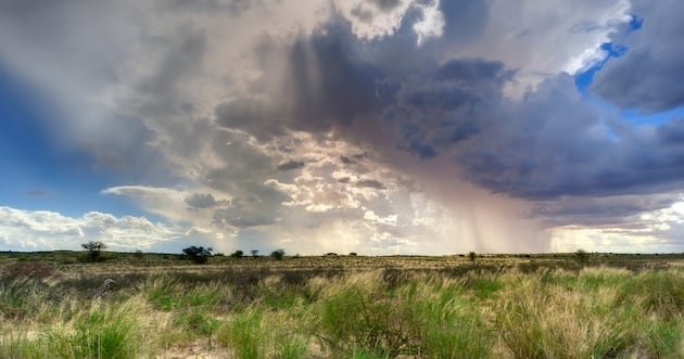 Renewed Miracles: Exploring Africa’s Blessings through Rain