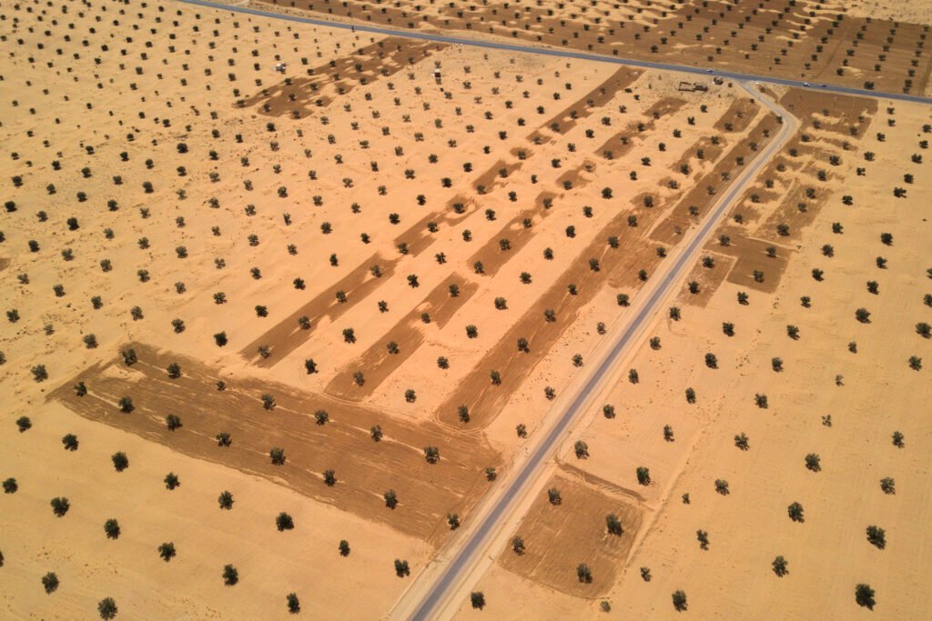 Tackling Food Insecurity in Tunisia: Climate Challenges and Dependency on Algeria