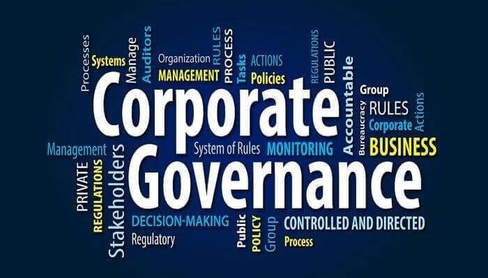 The Impact of Corporate Governance on the Success of Emerging Businesses