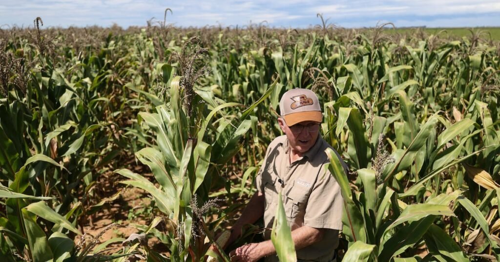 Africa’s Food Security in Peril Amid Iran Conflict’s Trade Impact