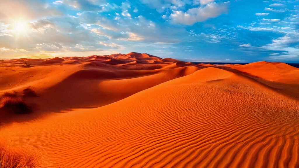 Ancient Mysteries: Life Forms That Shaped the Namibian Desert Over a Million Years Ago