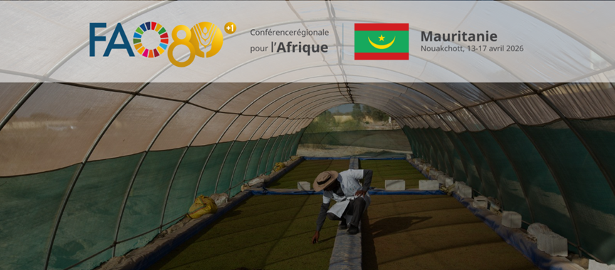 Transforming Africa’s Agrifood Systems for a Secure Future